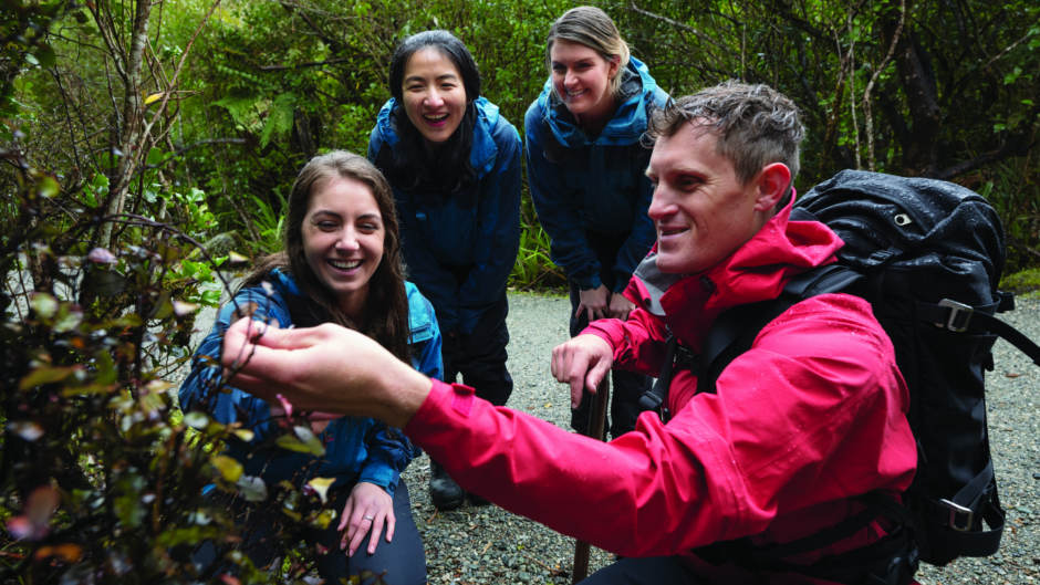 Embark on a guided journey through the iconic Franz Josef Glacier Valley to discover its remarkable landscape and fascinating history - a NZ must do! 


